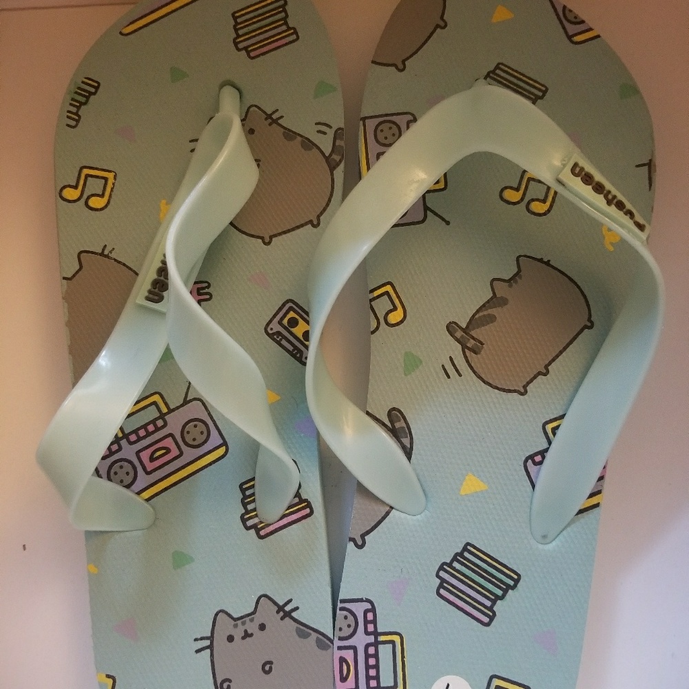 Pusheen flip-flops